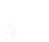 Stefan Loidolt Logo